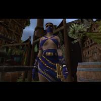 Tiran_picture009.png