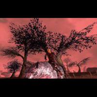 darkfall 2009-03-06 22-09-13-40.jpg