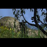 darkfall 2009-03-20 21-16-32-41