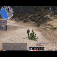 Dragoon Egg - Other side of bush